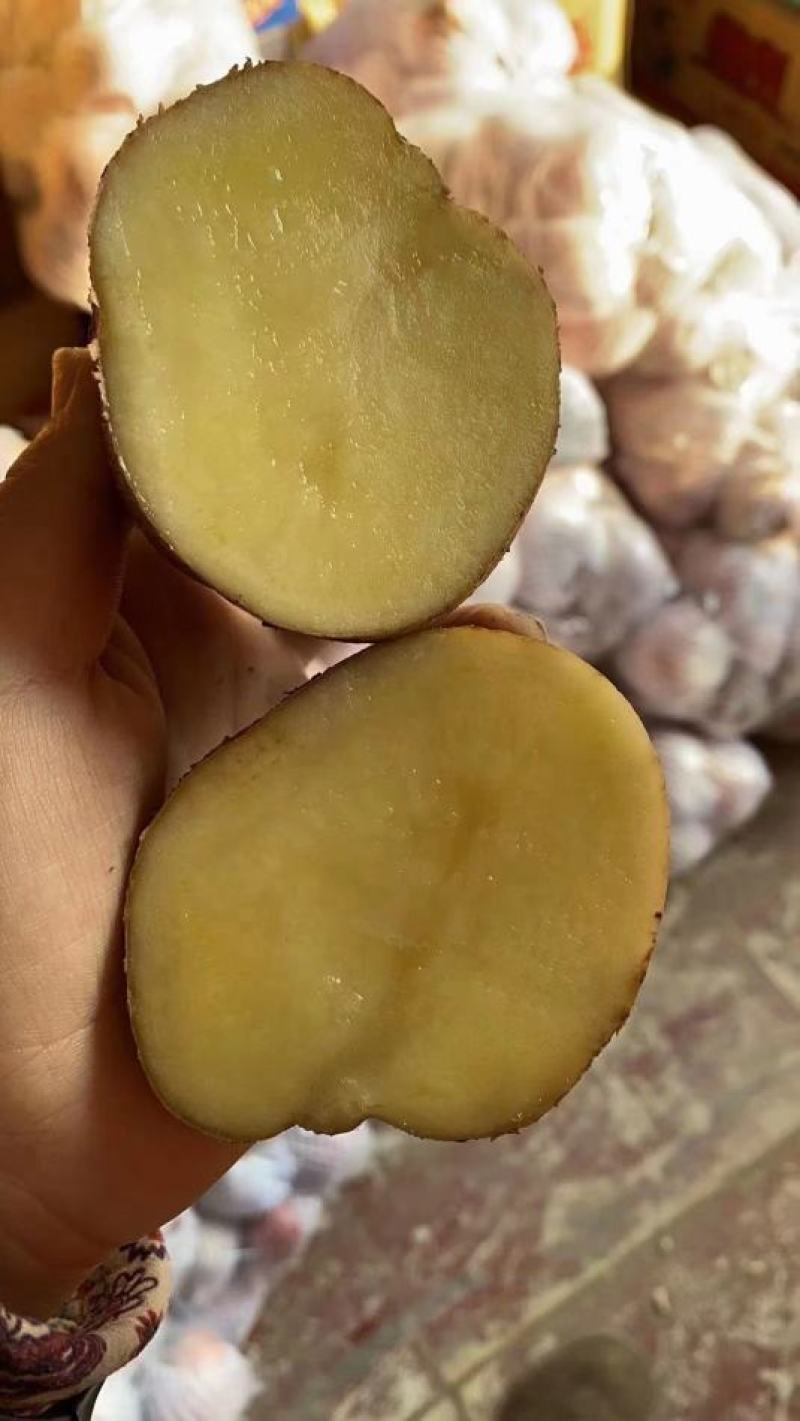 蔬菜土豆新鲜土豆黄壤