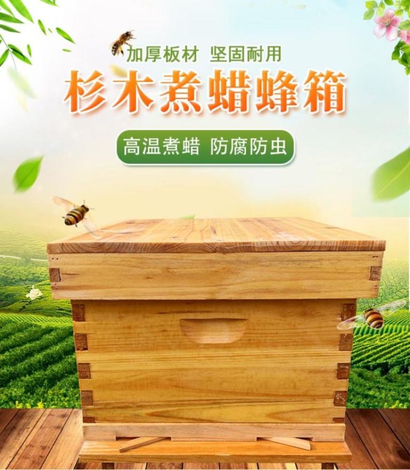 中蜂箱蜜蜂蜂箱养蜂工具专用养蜂箱煮蜡双层蜂箱标准十框