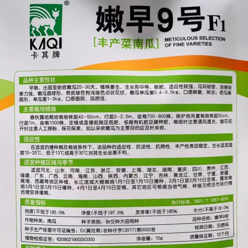丰产菜南瓜种子卡其牌嫩早9号一串铃南瓜种籽早熟杂交种