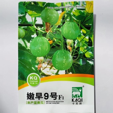 丰产菜南瓜种子卡其牌嫩早9号一串铃南瓜种籽早熟杂交种