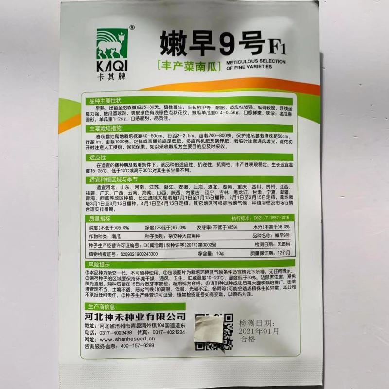 丰产菜南瓜种子卡其牌嫩早9号一串铃南瓜种籽早熟杂交种