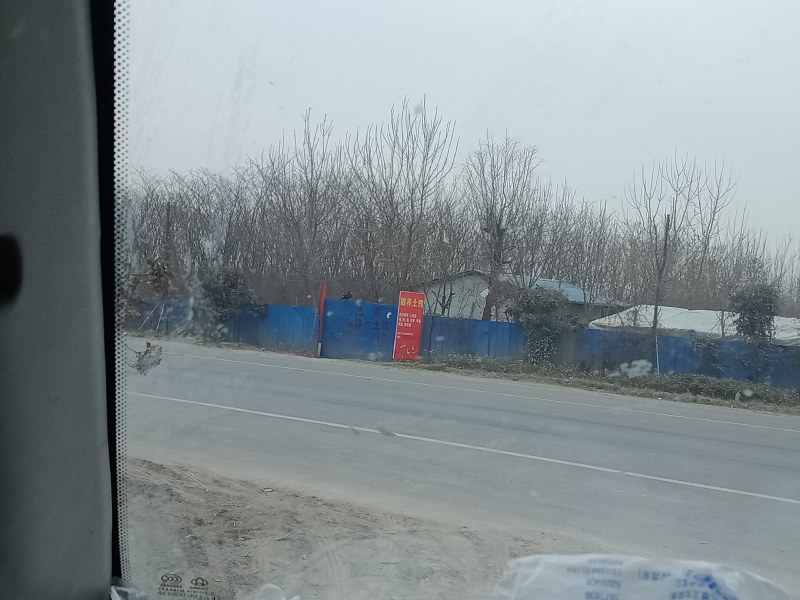 出售林下散养优质肉鸭