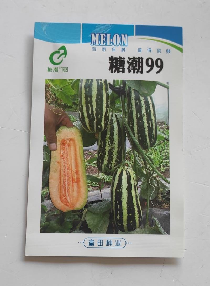 甜瓜种子糖潮99甜瓜种子早熟薄皮抗病性强耐低温
