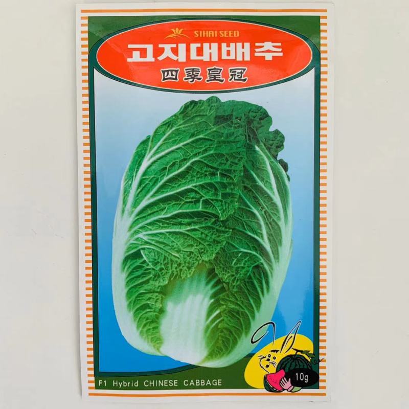 大白菜种子四季皇冠大白菜种子韩国引进中早熟品种耐寒性强