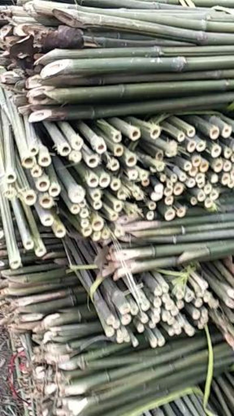 竹竿，撑果竿，实心竹竿，烤竿，菜架竹，长期有货大量供应