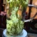 【一件代发】茉莉雪竹芽头肥壮，香气浓郁，茶条索紧细如针