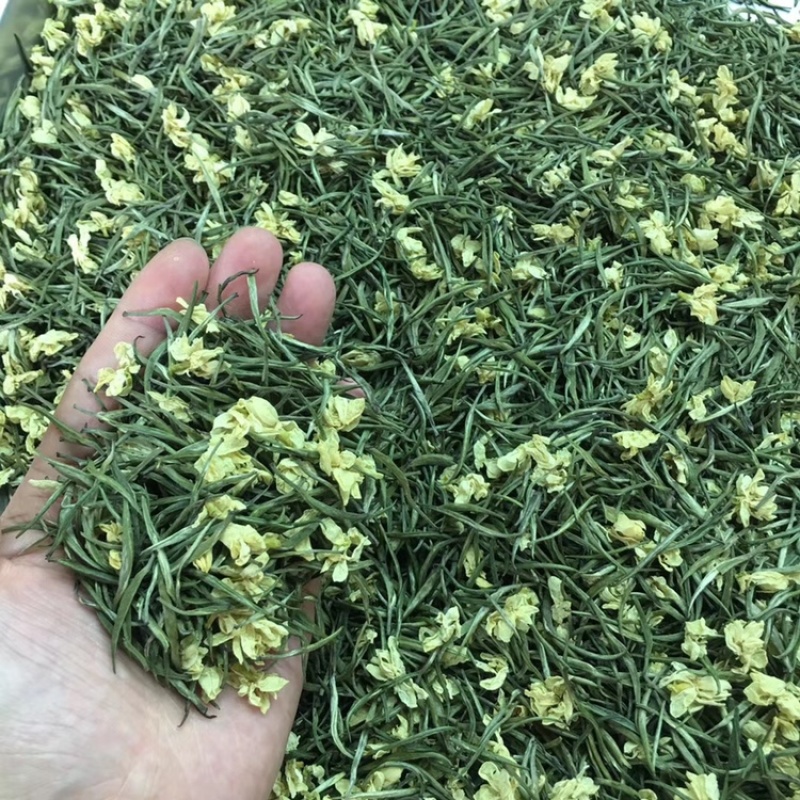 【一件代发】茉莉雪竹芽头肥壮，香气浓郁，茶条索紧细如针