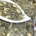 茉莉香气十足。口感细腻柔软香气十足。经济实惠