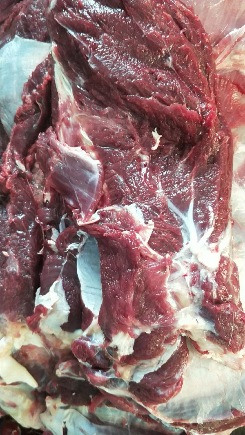 精品梅花鹿，鹿肉，梅花鹿，鹿肉！活鹿现杀新鲜鹿肉！