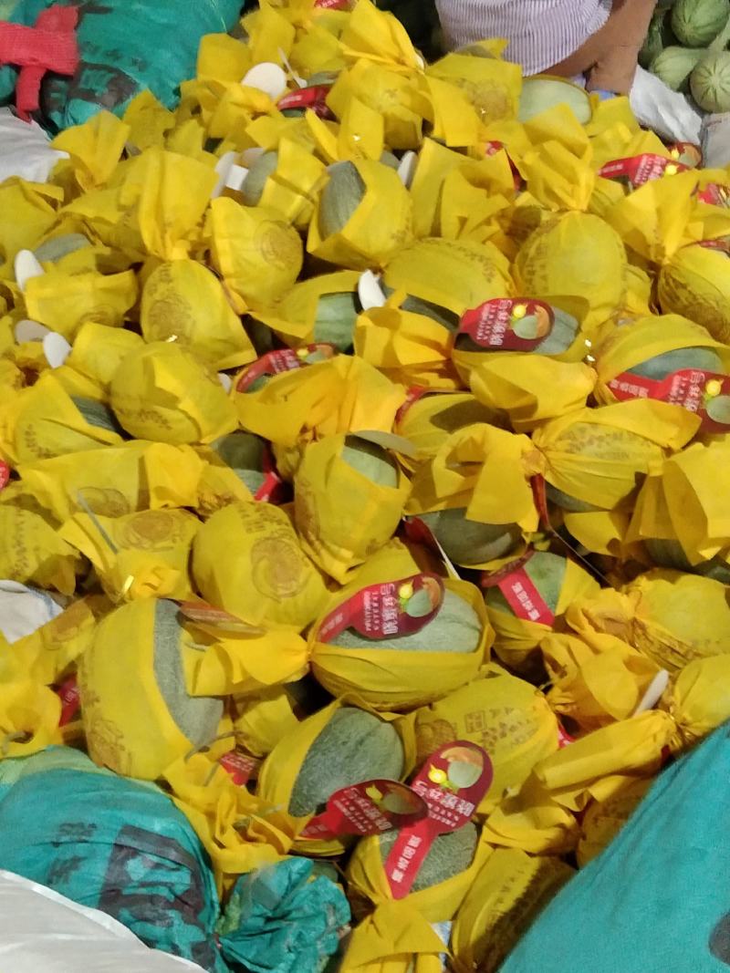 哈密瓜海南精品小密二十五号