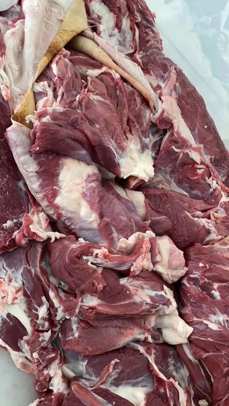带皮羊肉✔️烧烤佳品✔️价位低到爆🔥🔥🔥