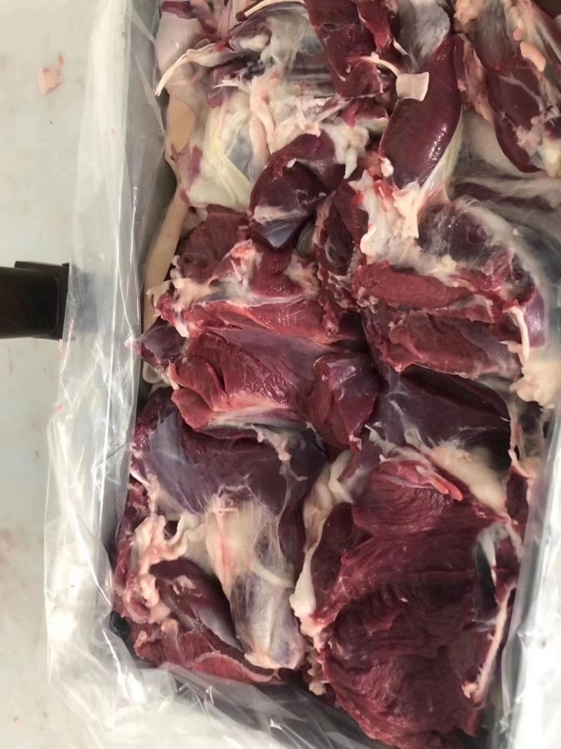 带皮羊肉✔️烧烤佳品✔️价位低到爆🔥🔥🔥