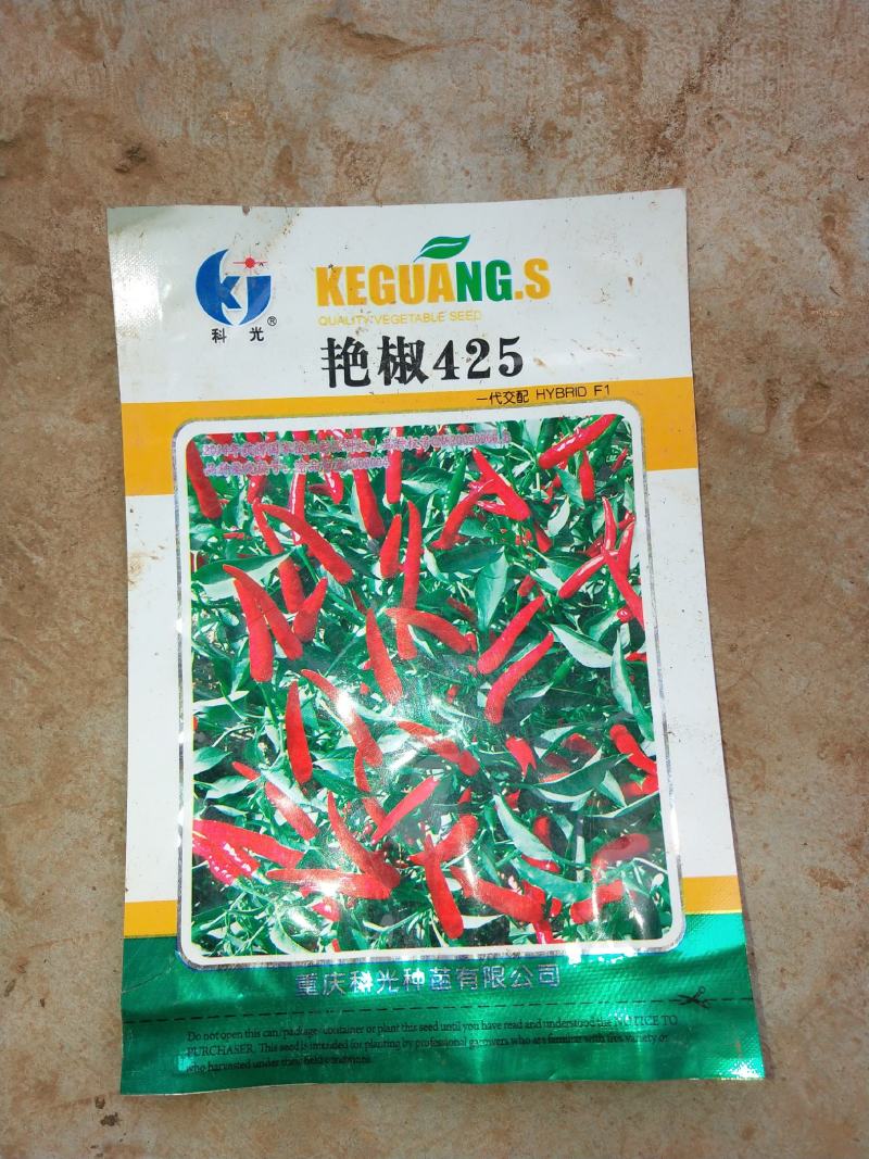 朝天椒苗，散苗，穴盘苗，基地直供代育跟免费提供技术指导