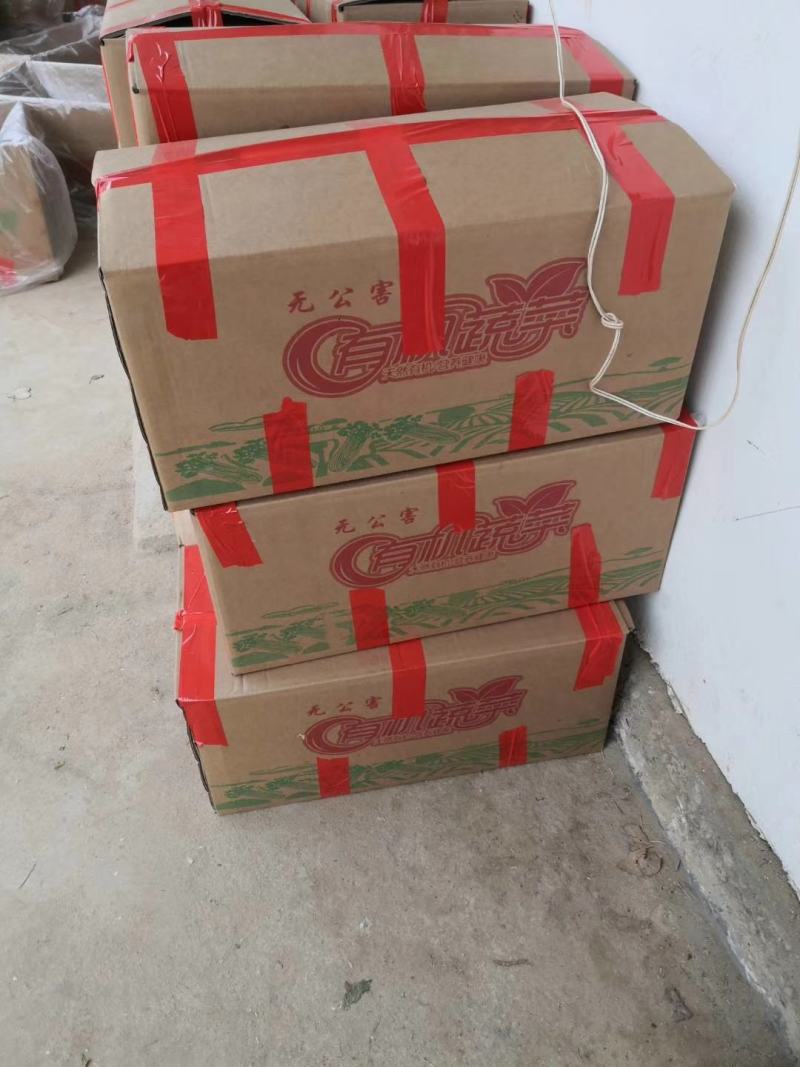 西芹金乡县西芹质优价廉