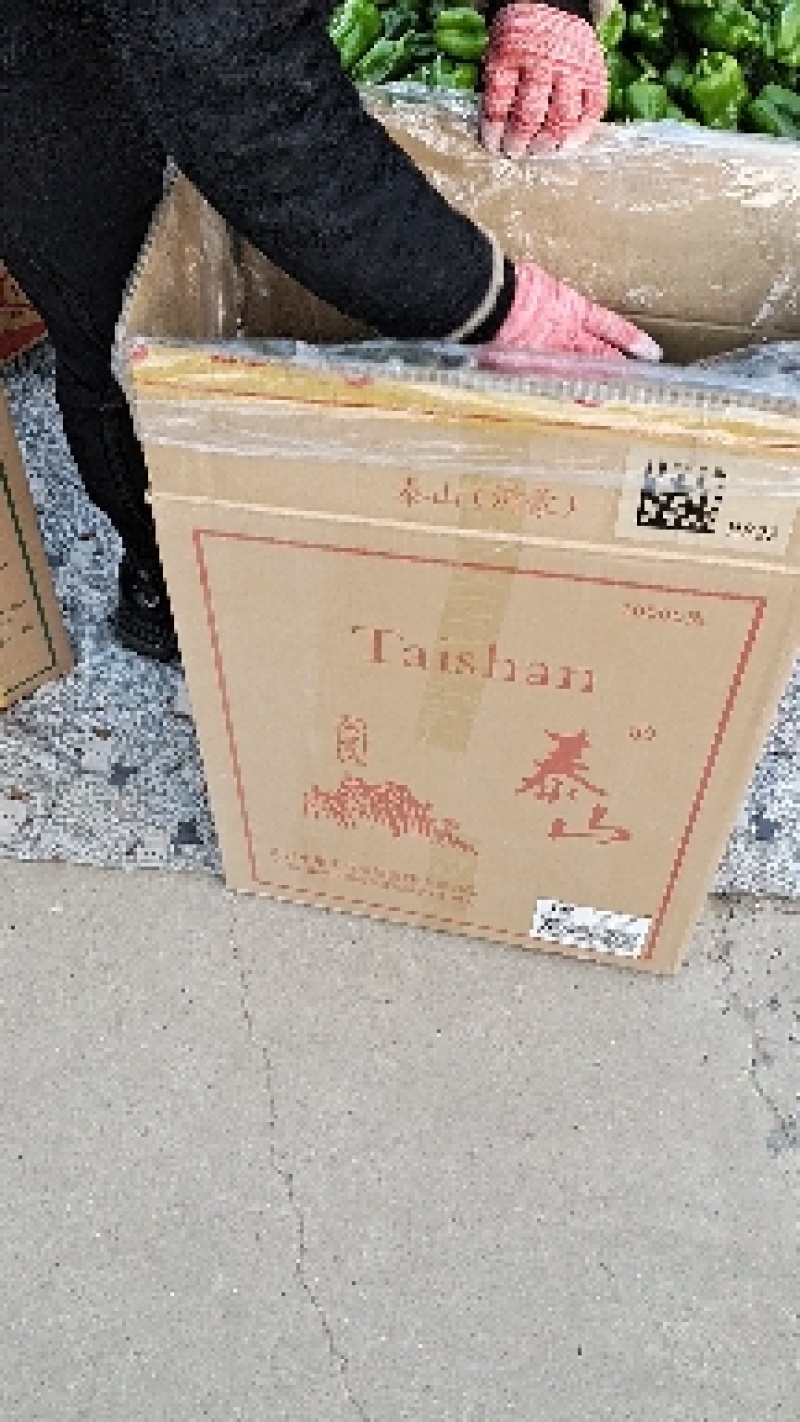 商河县太空椒大量上市，太空椒质量好，个头大，颜色好。