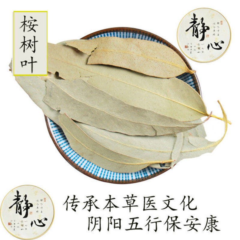 桉树叶中草药小桉树大叶按树叶尤加利树叶