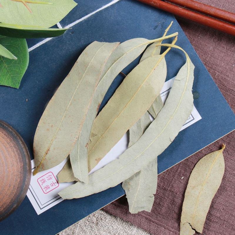 桉树叶中草药小桉树大叶按树叶尤加利树叶