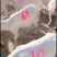 奶山羊日产奶10斤左右