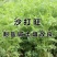 沙打旺种子多年生牧草绿肥草护坡草耐寒耐旱耐盐碱进