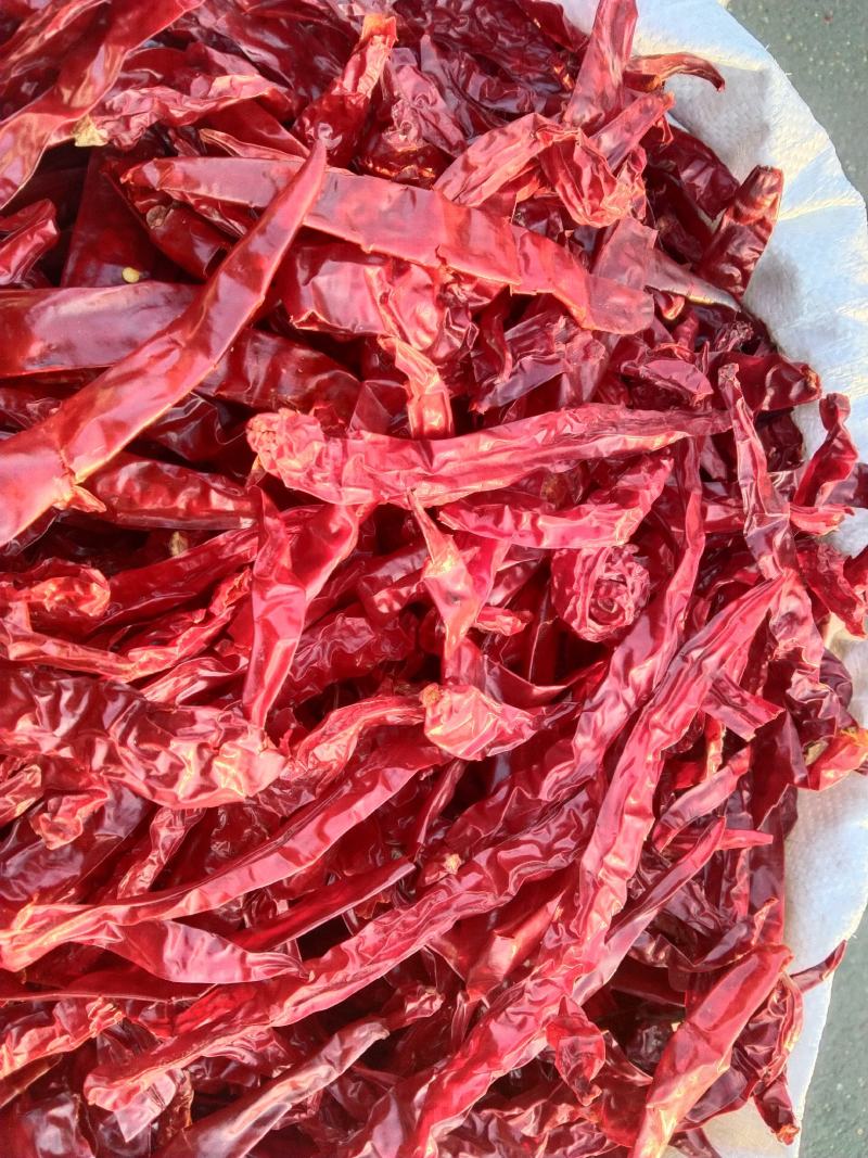精品二荆条量大从优！产地直销超市直供一件代发！