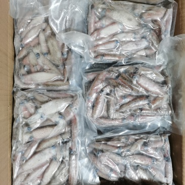 一口管，东山岛本港一口管