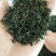 日照绿茶，产地货源，自家茶厂，用心做好茶