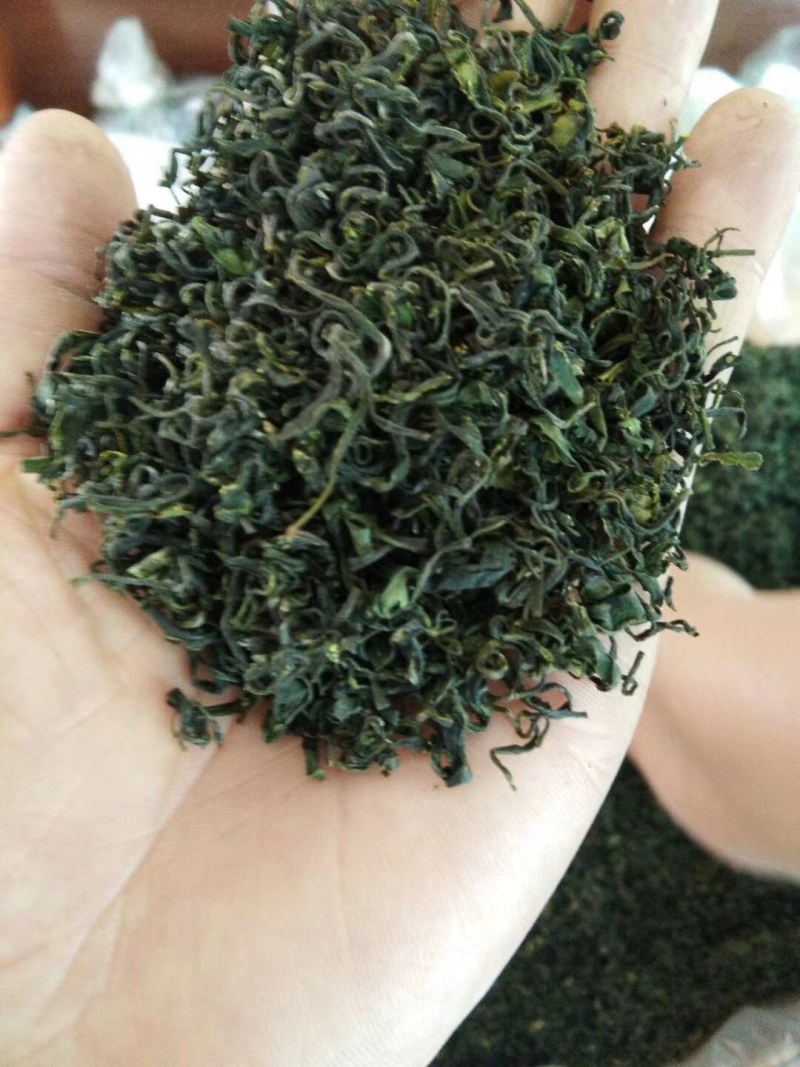 日照绿茶，产地货源，自家茶厂，用心做好茶