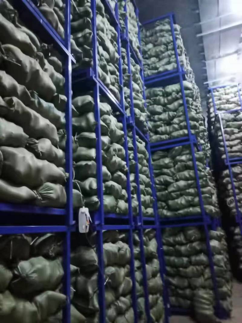 冷库精品短罐长罐萝卜，清脆可口，大量上市，量大价廉