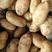【热卖】安丘土豆大量冷库储存，规格多样可加工水洗可发商超