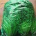 安丘铁杆青香菜冷库香菜大量低价供应可加工高矮规格多样