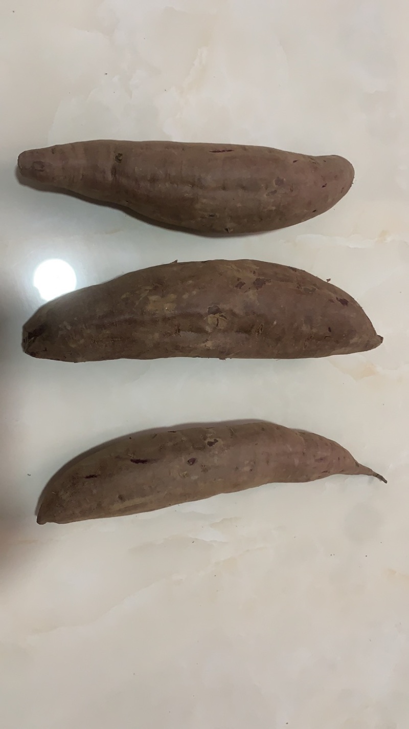 紫薯河北紫薯徐子8号。发往全国保证质量