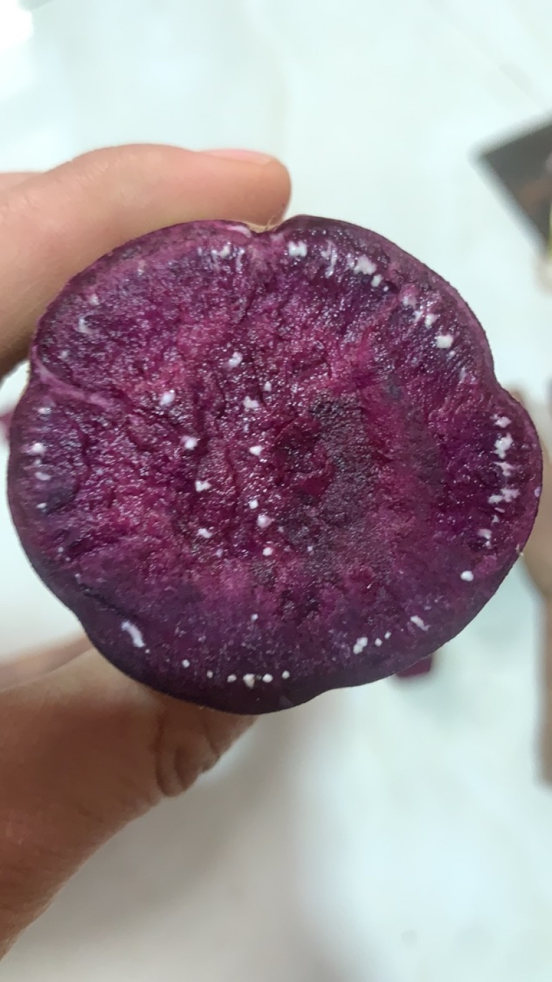 紫薯河北紫薯徐子8号。发往全国保证质量