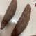 紫薯河北紫薯徐子8号。发往全国保证质量