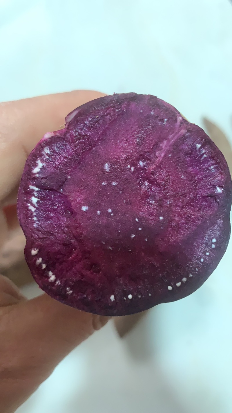 紫薯河北紫薯徐子8号。发往全国保证质量
