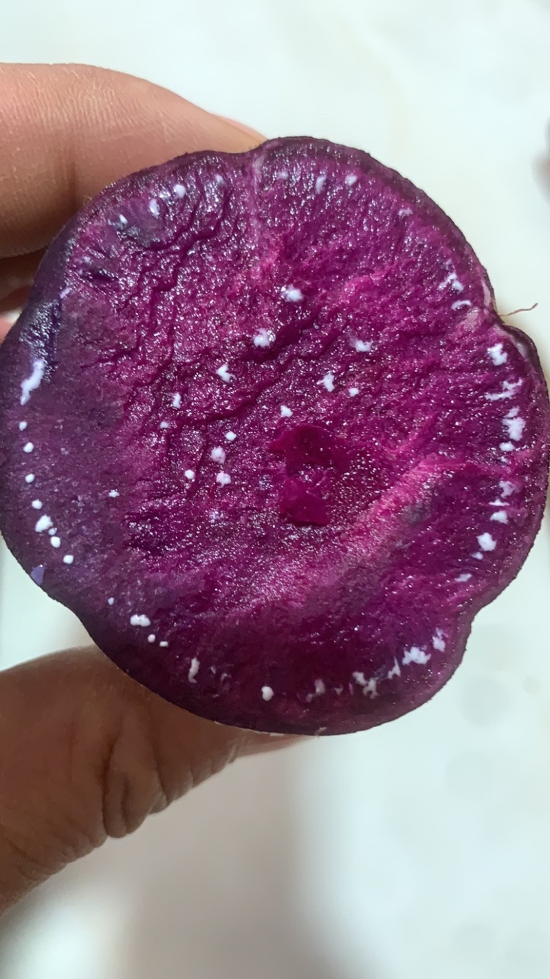 紫薯河北紫薯徐子8号。发往全国保证质量