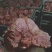 卤腱子肉卤龟腱江湖地摊餐饮酒店卤菜店展销会市场火爆产品