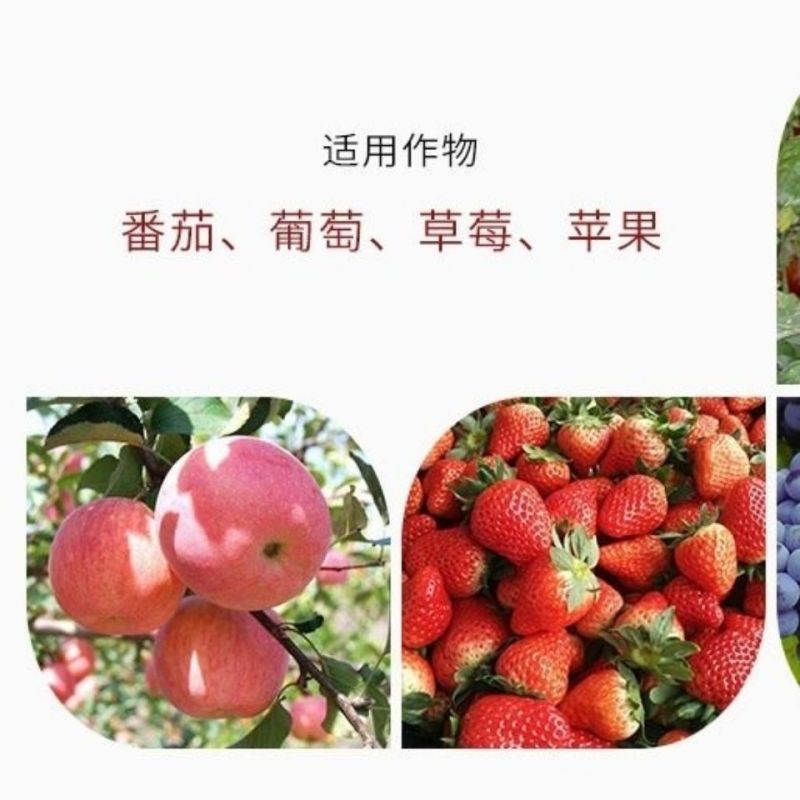 迅红氨糖脱青500g蔬菜瓜果增糖增甜剂转色增色靓果脱