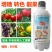 迅红氨糖脱青500g蔬菜瓜果增糖增甜剂转色增色靓果脱