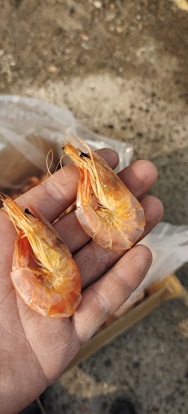 天然烤虾，无盐淡干海产礼品馈赠产品商超海产店畅销好货