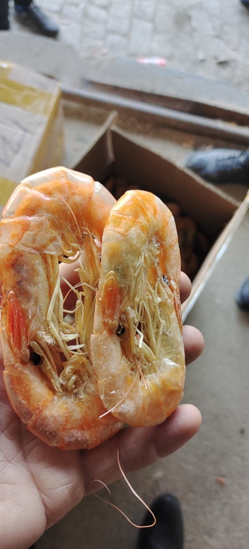 天然烤虾，无盐淡干海产礼品馈赠产品商超海产店畅销好货
