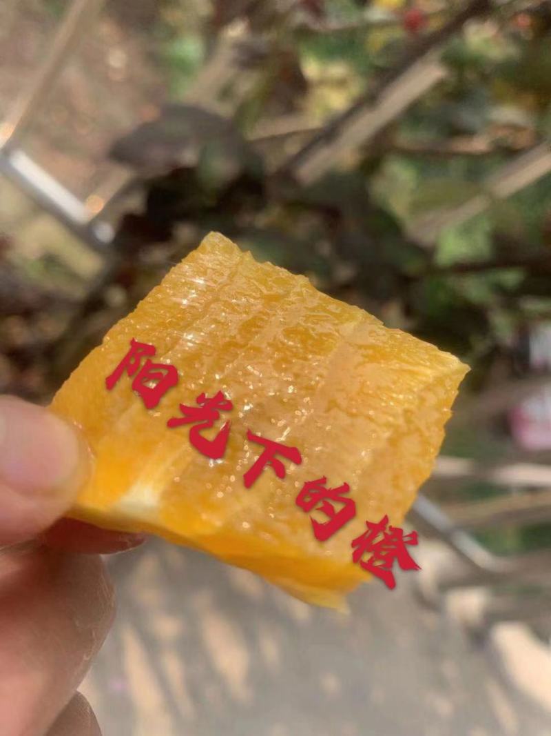 秭归纽荷尔鲜橙，甜甜的