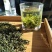 供应白茶银针白茶富硒茶白茶恩施硒都白茶春茶