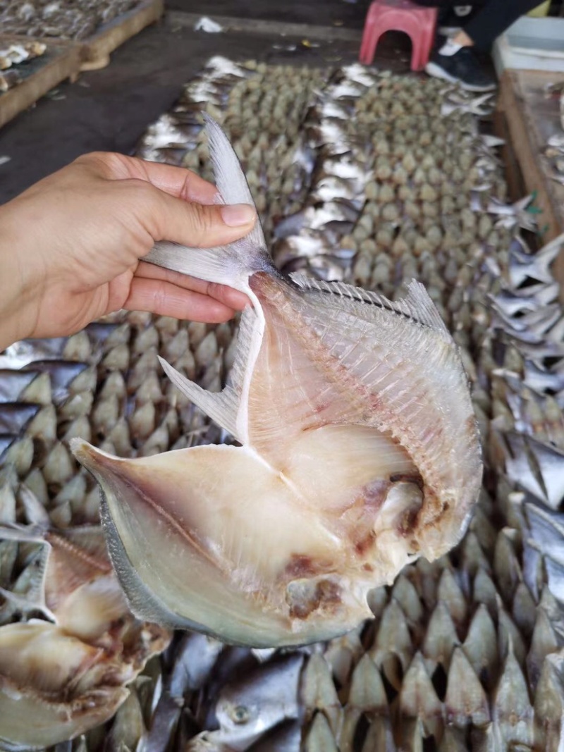 广色鱼干台山北海咸鱼腊味