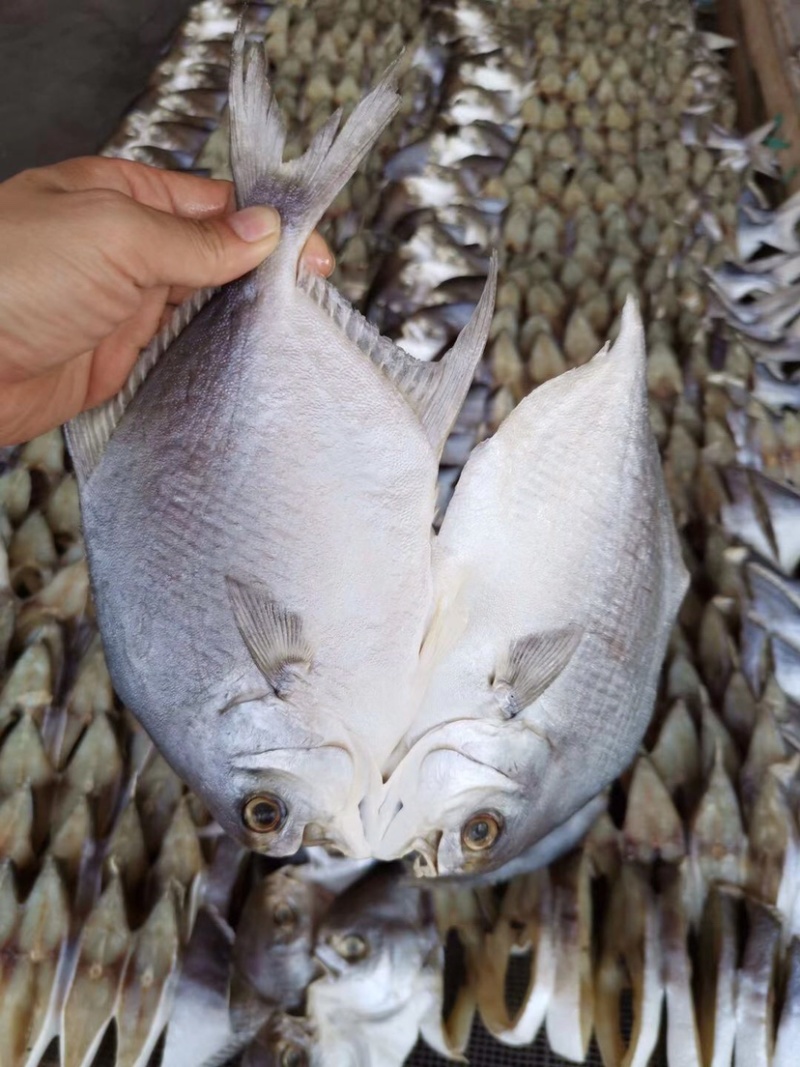 广色鱼干台山北海咸鱼腊味