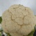 优质花菜，花色乳白，平均2~3斤，诚信合作，代发全国