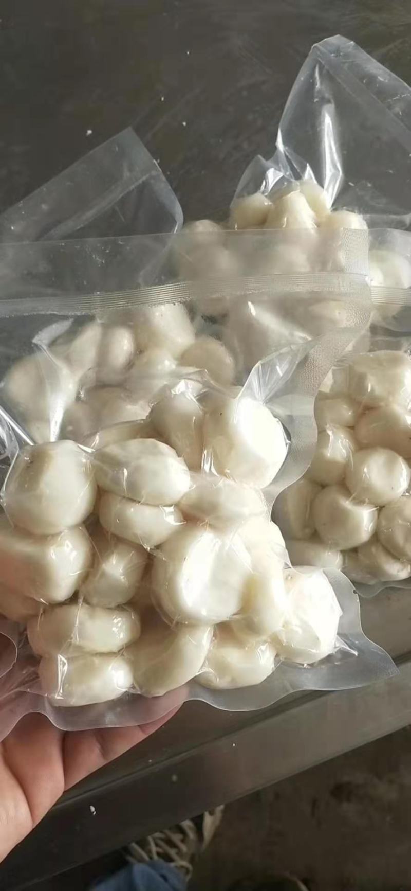马蹄正宗荔浦马蹄荸荠清甜爽口欢迎各位老板加单