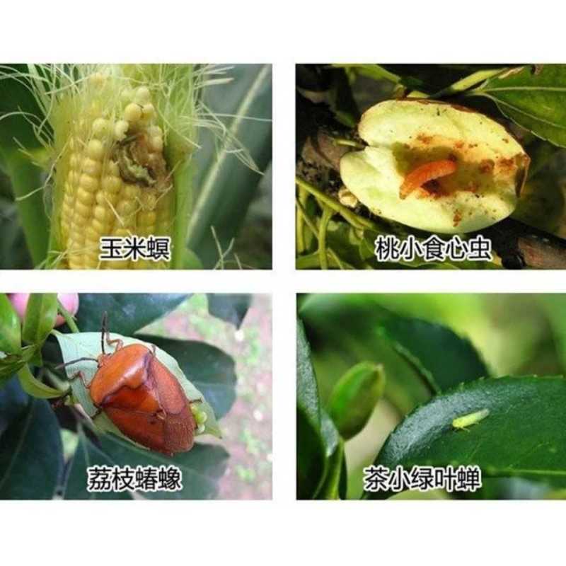 农化达优功高效氯氟氰菊酯果树蔬菜青虫蚜虫红蜘蛛地下害腻虫