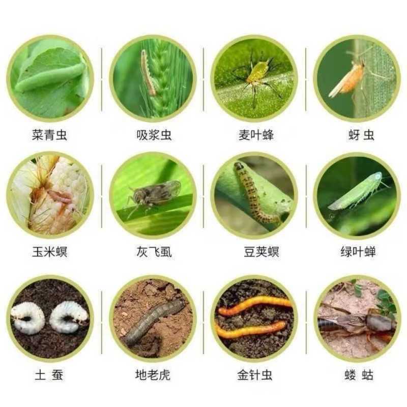 农化达优功高效氯氟氰菊酯果树蔬菜青虫蚜虫红蜘蛛地下害腻虫