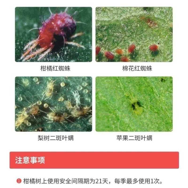 50%苯丁锡悬浮剂果树柑橘等果树红、白、锈蜘蛛虫卵兼杀高