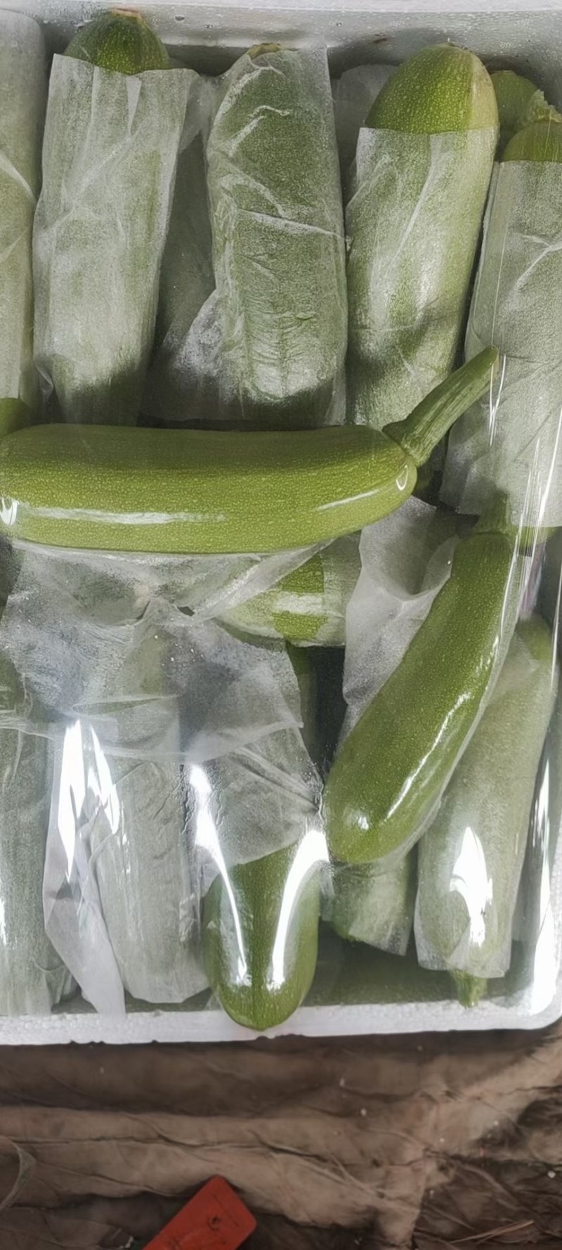 河北邯郸绿皮西葫芦质量好价格便宜交通运输方便